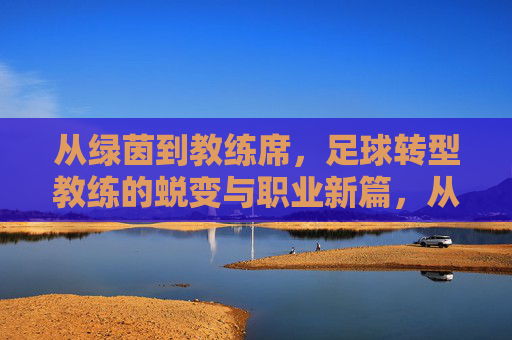 从绿茵到教练席,足球转型教练的蜕变与职业新篇,从绿茵到教练席,足球转型教练的蜕变与职业新篇
