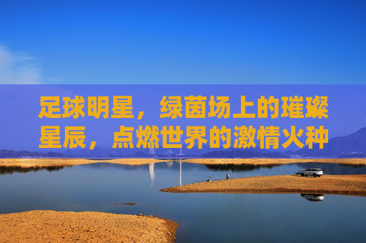 足球明星，绿茵场上的璀璨星辰，点燃世界的激情火种，足球明星，绿茵场上的璀璨星辰，点燃世界的激情火种