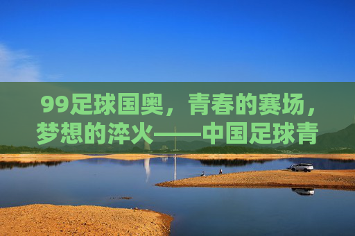 99足球国奥,青春的赛场,梦想的淬火——中国足球青年力量的崛起与传承