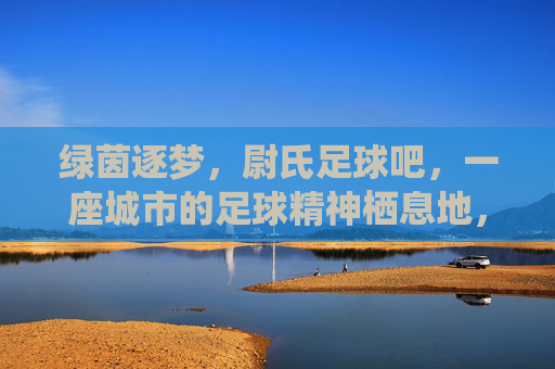 绿茵逐梦,尉氏足球吧,一座城市的足球精神栖息地,绿茵逐梦,尉氏足球吧,一座城市的足球精神栖息地