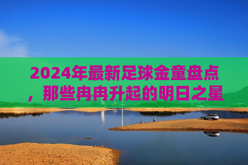 2024年最新足球金童盘点，那些冉冉升起的明日之星，2024年最新足球金童盘点，那些冉冉升起的明日之星