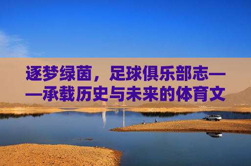 逐梦绿茵，足球俱乐部志——承载历史与未来的体育文化瑰宝