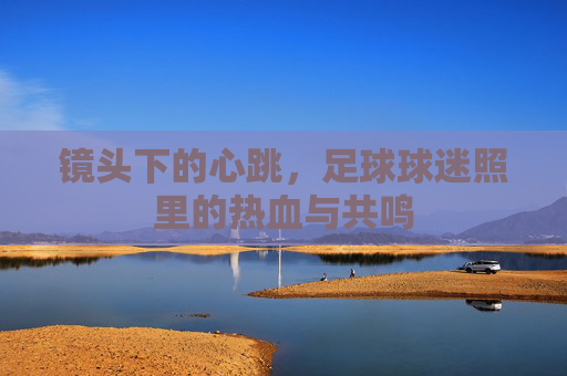 镜头下的心跳,足球球迷照里的热血与共鸣