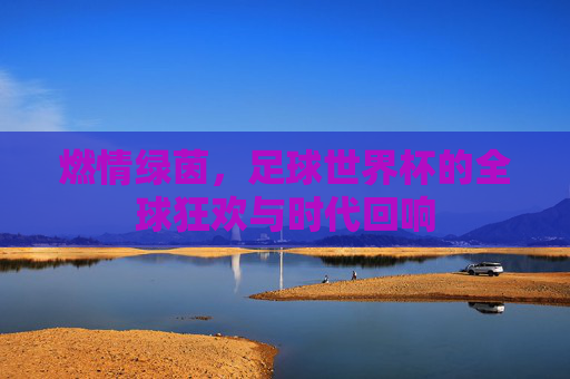 燃情绿茵，足球世界杯的全球狂欢与时代回响