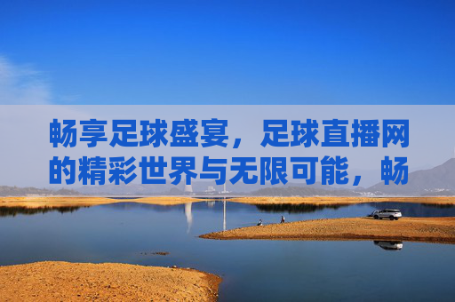 畅享足球盛宴，足球直播网的精彩世界与无限可能，畅享足球盛宴，足球直播网的精彩世界与无限可能