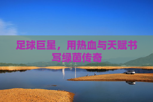 足球巨星，用热血与天赋书写绿茵传奇