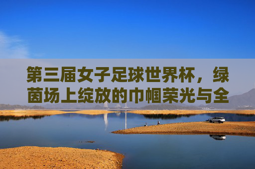 第三届女子足球世界杯，绿茵场上绽放的巾帼荣光与全球体育新篇章，第三届女子足球世界杯，绿茵场上绽放的巾帼荣光与全球体育新篇章
