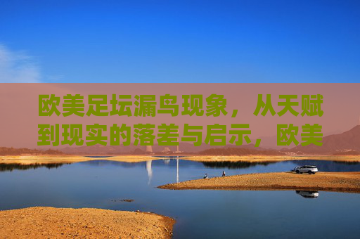 欧美足坛漏鸟现象，从天赋到现实的落差与启示，欧美足坛漏鸟现象，从天赋到现实的落差与启示
