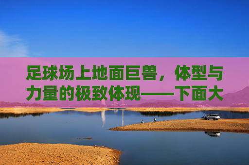 足球场上地面巨兽,体型与力量的极致体现——下面大的足球运动员的传奇故事
