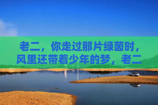 老二，你走过那片绿茵时，风里还带着少年的梦，老二，你走过那片绿茵时，风里还带着少年的梦