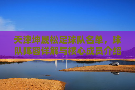 天津坤晟松足球队名单,球队阵容详解与核心成员介绍