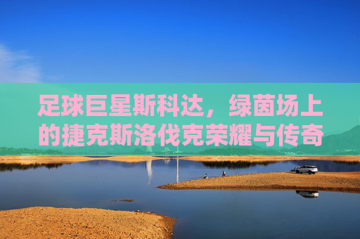 足球巨星斯科达,绿茵场上的捷克斯洛伐克荣耀与传奇
