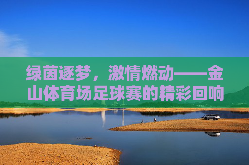 绿茵逐梦，激情燃动——金山体育场足球赛的精彩回响，绿茵逐梦，激情燃动——金山体育场足球赛的精彩回响