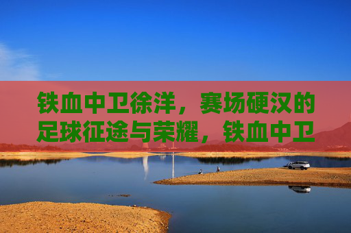 铁血中卫徐洋,赛场硬汉的足球征途与荣耀,铁血中卫徐洋,赛场硬汉的足球征途与荣耀