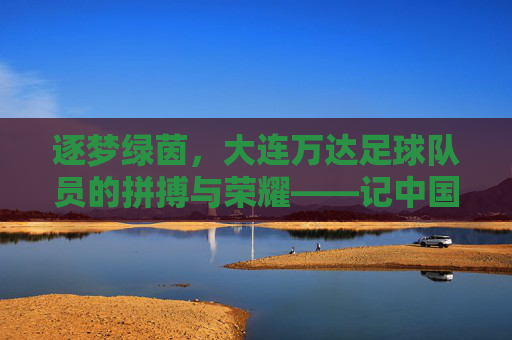 逐梦绿茵,大连万达足球队员的拼搏与荣耀——记中国足球的金童军与时代印记,逐梦绿茵,大连万达足球队员的拼搏与荣耀——记中国足球的金童军与时代印记