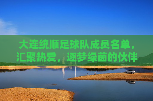 大连统顺足球队成员名单，汇聚热爱，逐梦绿茵的伙伴们