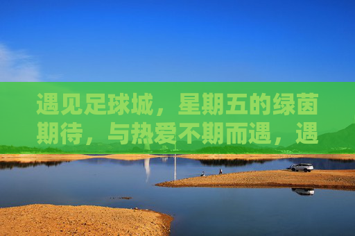遇见足球城,星期五的绿茵期待,与热爱不期而遇,遇见足球城,星期五的绿茵期待,与热爱不期而遇