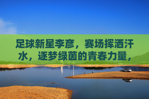足球新星李彦，赛场挥洒汗水，逐梦绿茵的青春力量，足球新星李彦，赛场挥洒汗水，逐梦绿茵的青春力量