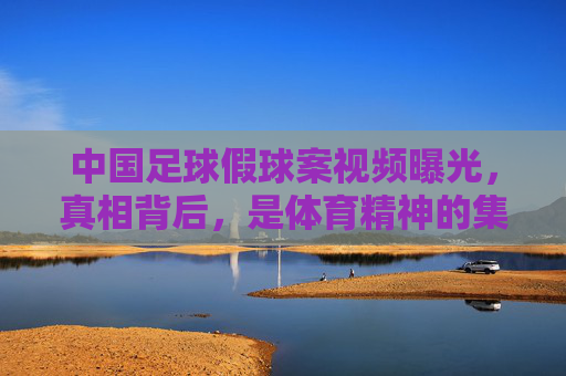 中国足球假球案视频曝光,真相背后,是体育精神的集体失守与制度漏洞的拷问,中国足球假球案视频曝光,真相背后,体育精神的集体失守与制度漏洞的拷问