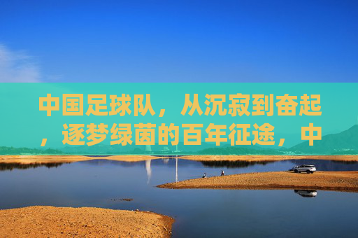中国足球队，从沉寂到奋起，逐梦绿茵的百年征途，中国足球队，从沉寂到奋起，逐梦绿茵的百年征途