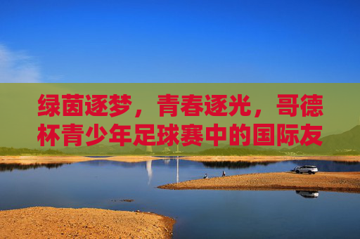 绿茵逐梦，青春逐光，哥德杯青少年足球赛中的国际友谊与成长印记，绿茵逐梦，青春逐光，哥德杯青少年足球赛中的国际友谊与成长印记