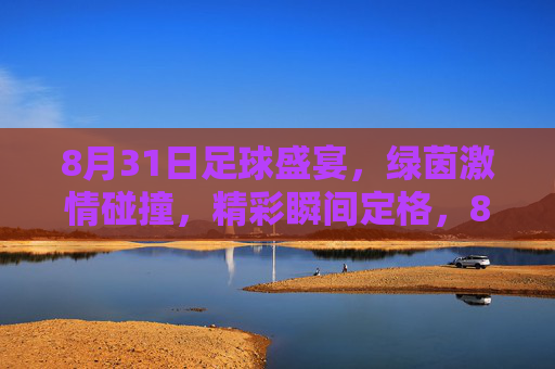 8月31日足球盛宴，绿茵激情碰撞，精彩瞬间定格，8月31日足球盛宴，绿茵激情碰撞，精彩瞬间定格