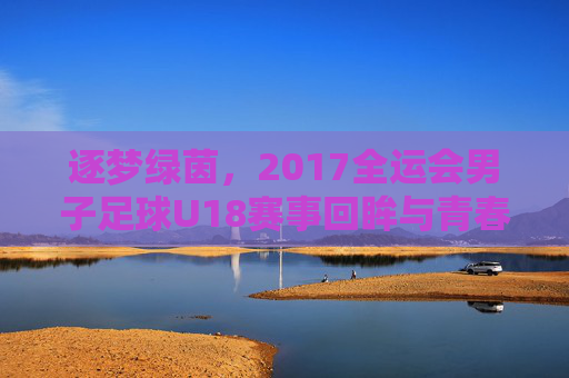 逐梦绿茵，2017全运会男子足球U18赛事回眸与青春力量，逐梦绿茵，2017全运会男子足球U18赛事回眸与青春力量