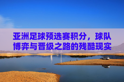 亚洲足球预选赛积分,球队博弈与晋级之路的残酷现实,亚洲足球预选赛,积分博弈与晋级之路的残酷现实