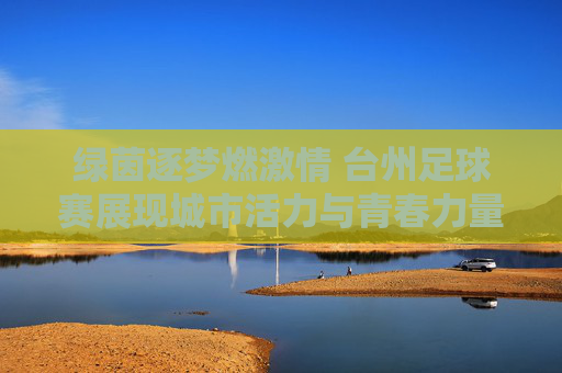 绿茵逐梦燃激情 台州足球赛展现城市活力与青春力量，绿茵逐梦燃激情 台州足球赛展现城市活力与青春力量
