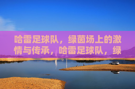 哈雷足球队，绿茵场上的激情与传承，哈雷足球队，绿茵场上的激情与传承
