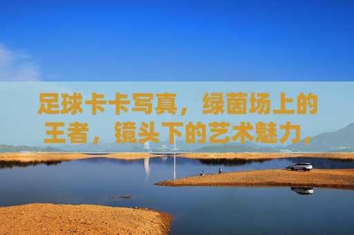 足球卡卡写真,绿茵场上的王者,镜头下的艺术魅力,足球卡卡写真,绿茵场上的王者,镜头下的艺术魅力