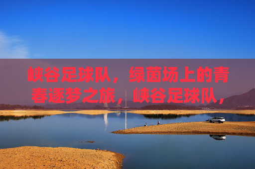 峡谷足球队，绿茵场上的青春逐梦之旅，峡谷足球队，绿茵场上的青春逐梦之旅