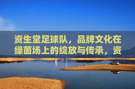 资生堂足球队,品牌文化在绿茵场上的绽放与传承,资生堂足球队,品牌文化在绿茵场上的绽放与传承