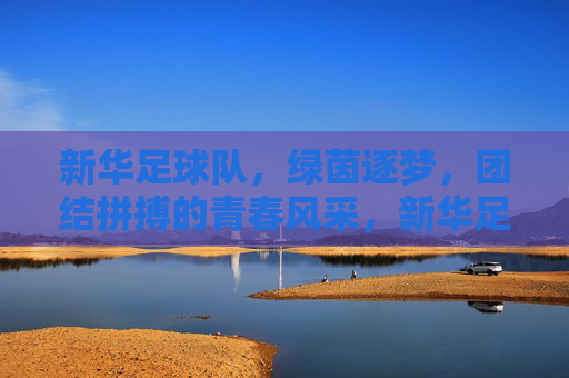 新华足球队，绿茵逐梦，团结拼搏的青春风采，新华足球队，绿茵逐梦，团结拼搏的青春风采