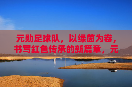 元勋足球队,以绿茵为卷,书写红色传承的新篇章,元勋足球队,以绿茵为卷,书写红色传承的新篇章