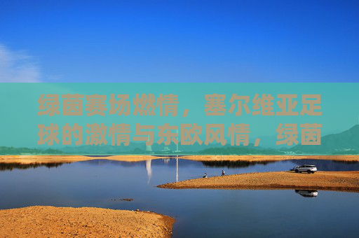 绿茵赛场燃情,塞尔维亚足球的激情与东欧风情,绿茵赛场燃情,塞尔维亚足球的激情与东欧风情