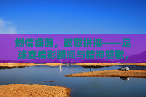 燃情绿茵，致敬拼搏——足球赛精彩瞬间与精神赞歌，燃情绿茵，致敬拼搏——足球赛精彩瞬间与精神赞歌