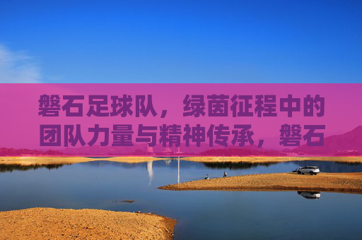 磐石足球队，绿茵征程中的团队力量与精神传承，磐石足球队，绿茵征程中的团队力量与精神传承