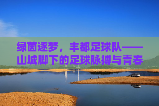 绿茵逐梦，丰都足球队——山城脚下的足球脉搏与青春力量，绿茵逐梦，丰都足球队——山城脚下的足球脉搏与青春力量
