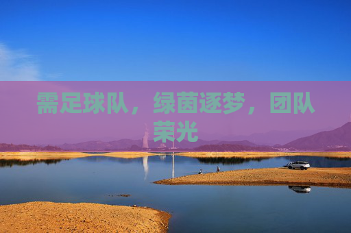 需足球队,绿茵逐梦,团队荣光