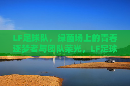 LF足球队，绿茵场上的青春逐梦者与团队荣光，LF足球队，绿茵场上的青春逐梦者与团队荣光