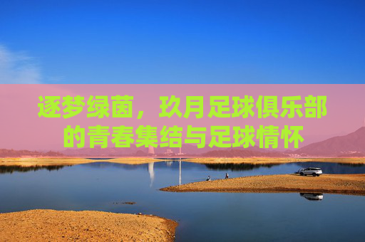 逐梦绿茵,玖月足球俱乐部的青春集结与足球情怀