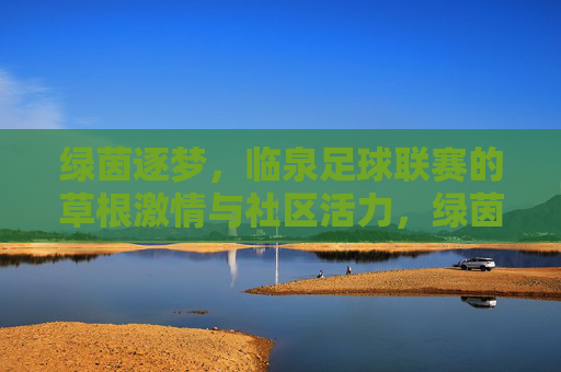 绿茵逐梦,临泉足球联赛的草根激情与社区活力,绿茵逐梦,临泉足球联赛的草根激情与社区活力
