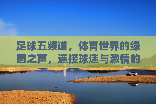 足球五频道,体育世界的绿茵之声,连接球迷与激情的桥梁,足球五频道,体育世界的绿茵之声,连接球迷与激情的桥梁