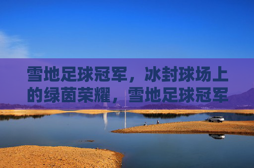 雪地足球冠军,冰封球场上的绿茵荣耀,雪地足球冠军,冰封球场上的绿茵荣耀