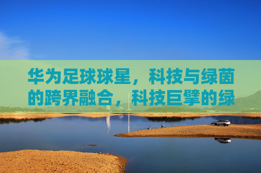 华为足球球星,科技与绿茵的跨界融合,科技巨擘的绿茵情怀与团队精神,华为足球球星,科技与绿茵的跨界融合,科技巨擘的绿茵情怀与团队精神