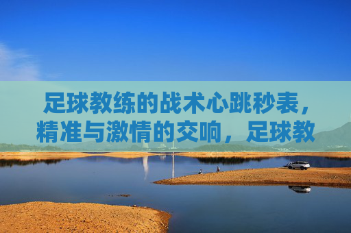 足球教练的战术心跳秒表,精准与激情的交响,足球教练的战术心跳秒表,精准与激情的交响