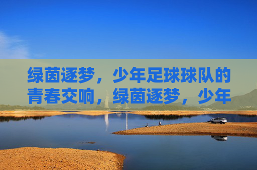 绿茵逐梦，少年足球球队的青春交响，绿茵逐梦，少年足球球队的青春交响