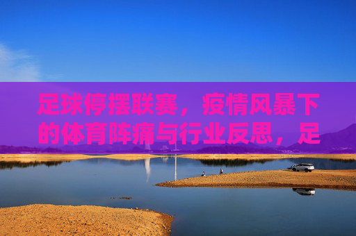 足球停摆联赛,疫情风暴下的体育阵痛与行业反思,足球停摆联赛,疫情风暴下的体育阵痛与行业反思