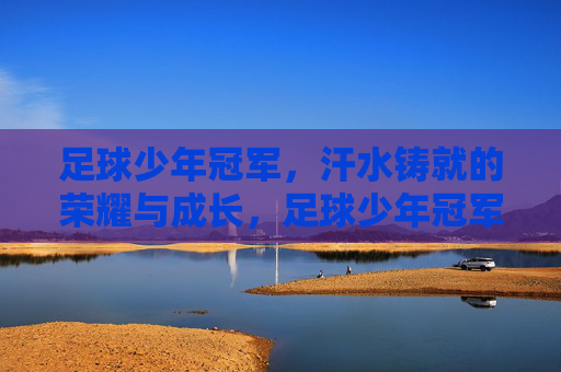 足球少年冠军，汗水铸就的荣耀与成长，足球少年冠军，汗水铸就的荣耀与成长